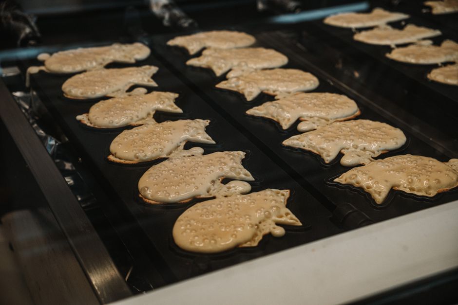 Taiyaki Naniwaya Souhonten, Azabu-Juban, Tokyo, Japan