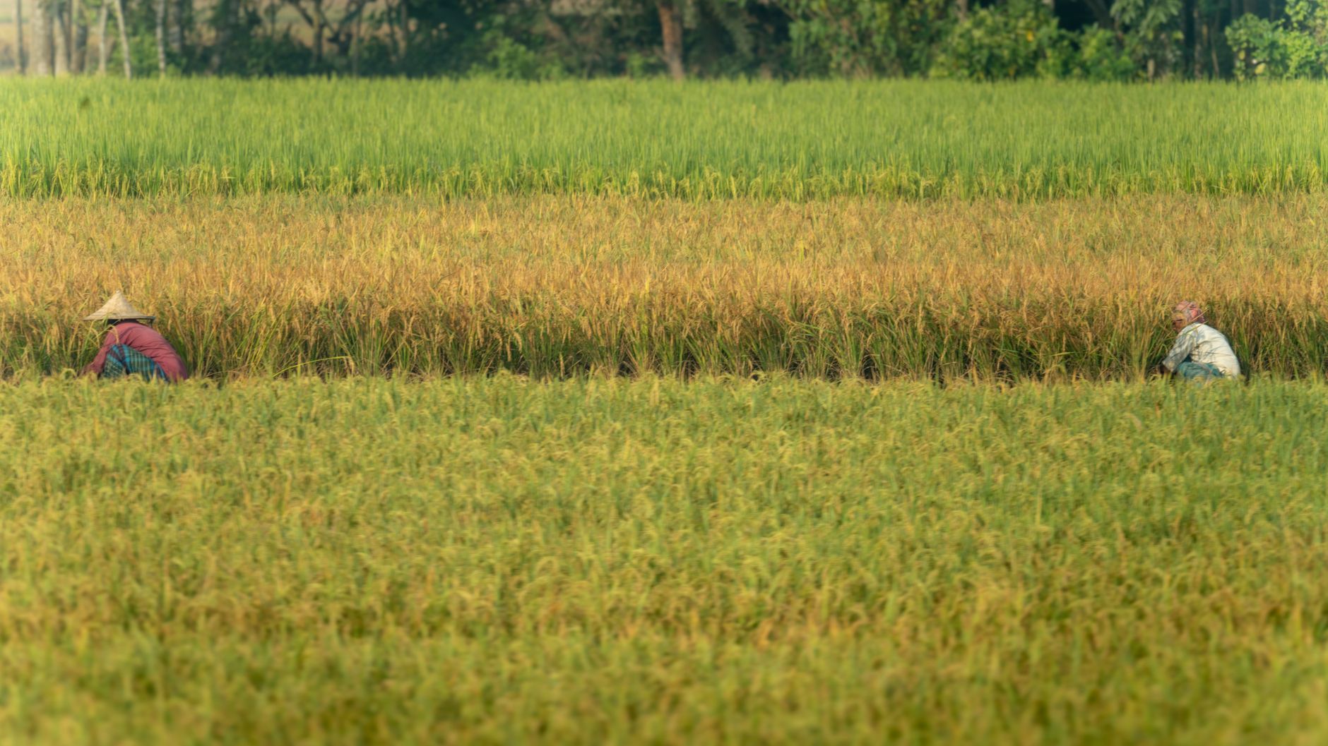 Gullah Geechee Corridor, USA