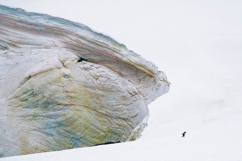 Taylor Glacier, Antarctica