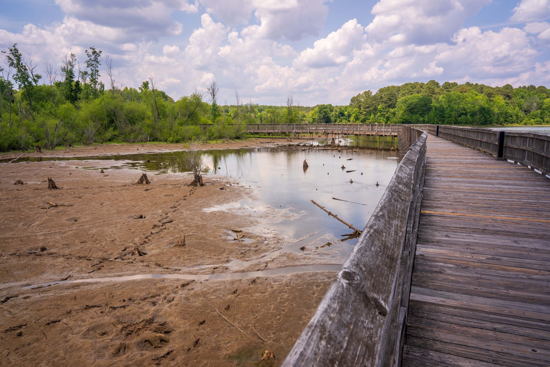 Hopkins, South Carolina, USA