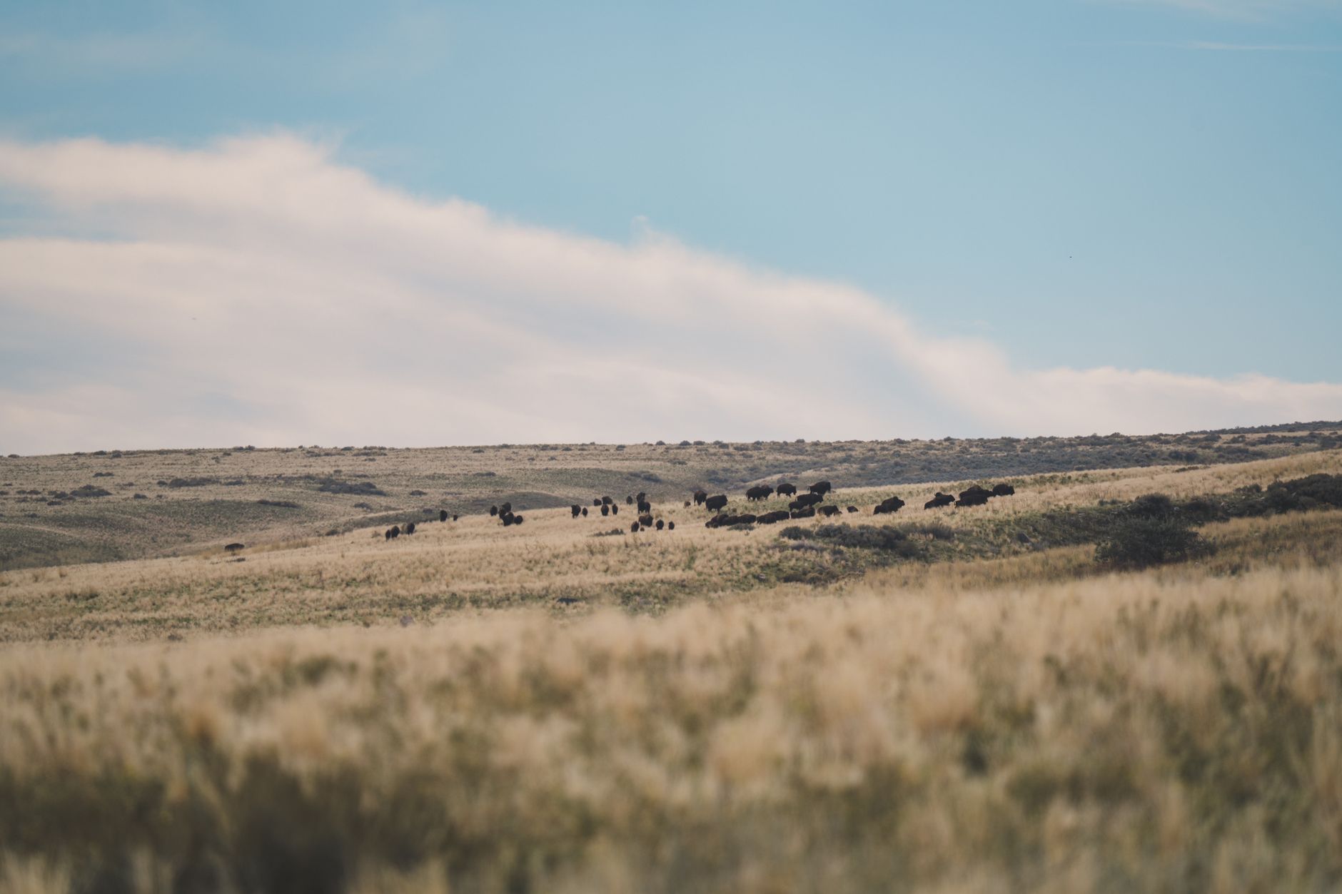 Strong City, Kansas, USA