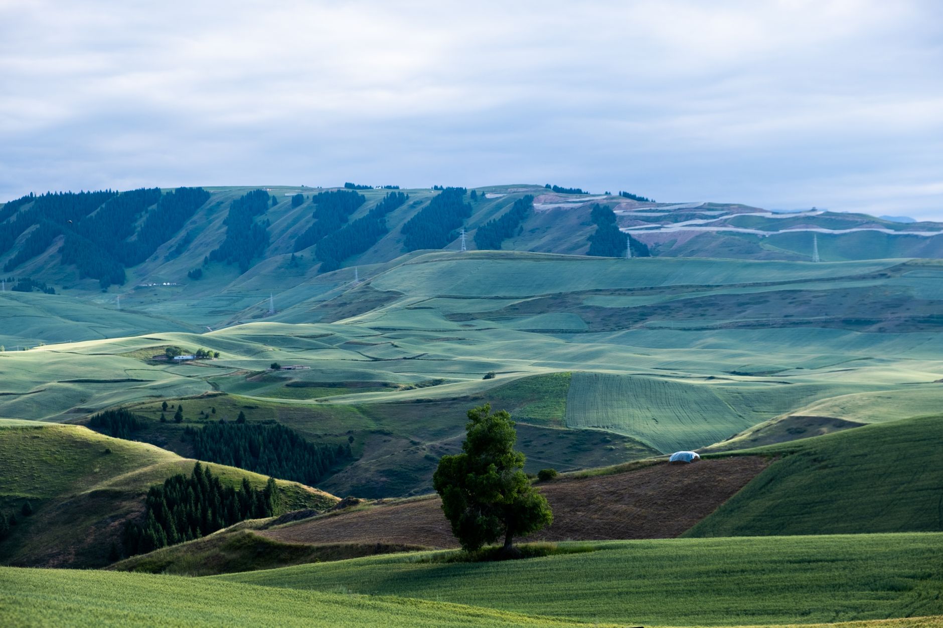 What is an Egg That is Cooked on Both Sides? Unveiling Earth's Dual Wonders