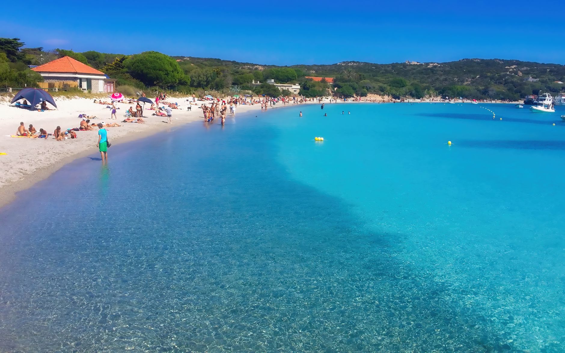 Aerial view of La Pelosa Beach in Stintino, Sardinia, showing its incredibly shallow, turquoise waters, fine white sand, and the Aragonese tower on a small islet.