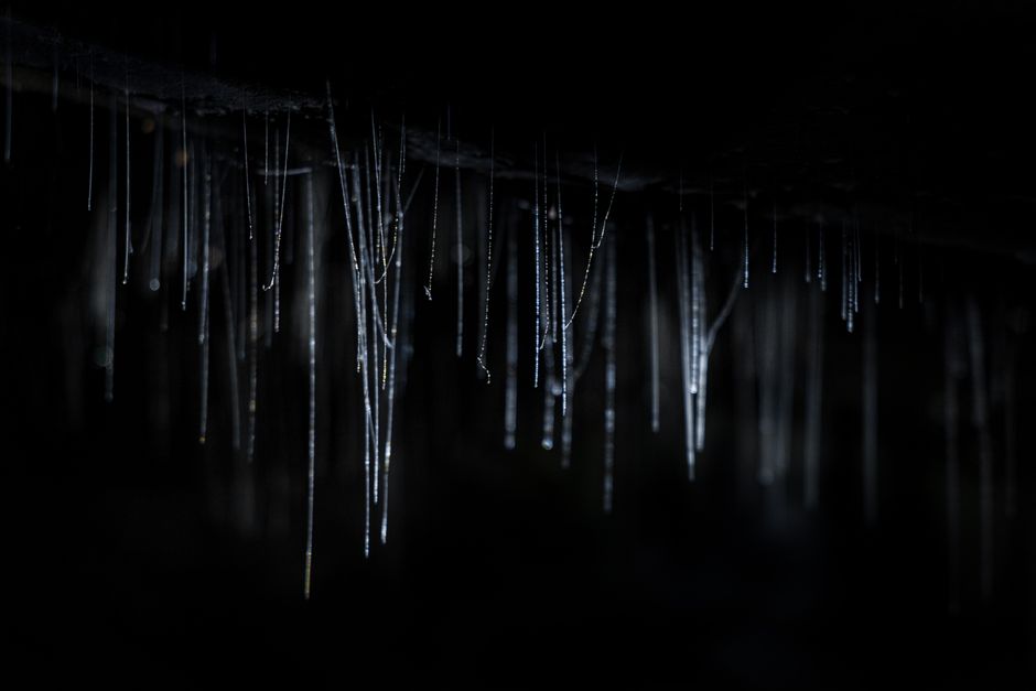 Waitomo, New Zealand