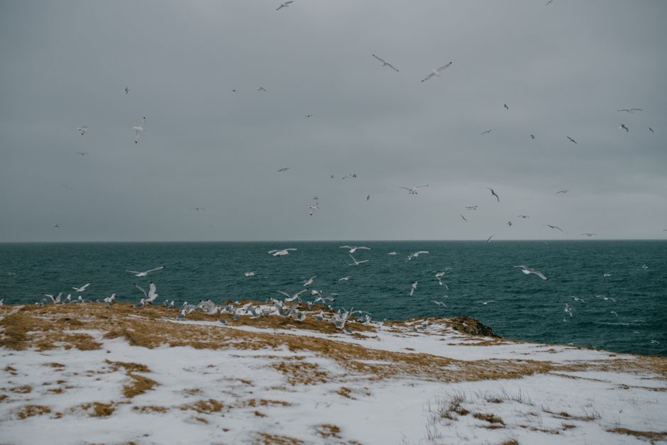 Gimli, Manitoba, Canada