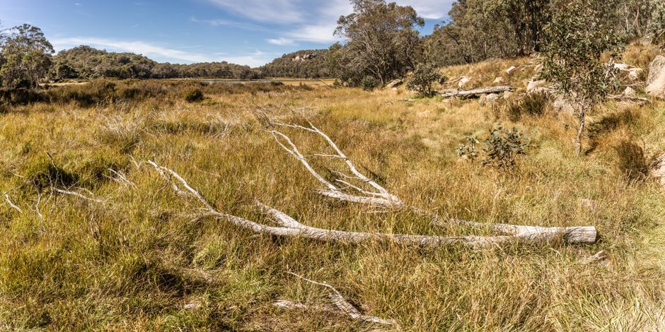 The Labyrinth, Mount Barney National Park, Australia