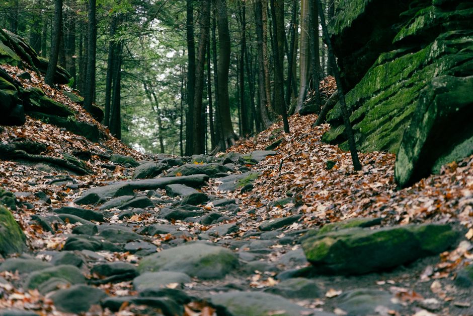 Devil's Path, Catskill Mountains, USA