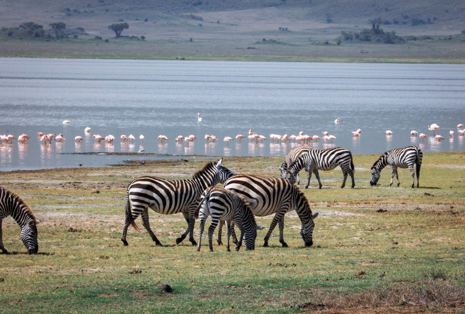 Lake Natron, Tanzania