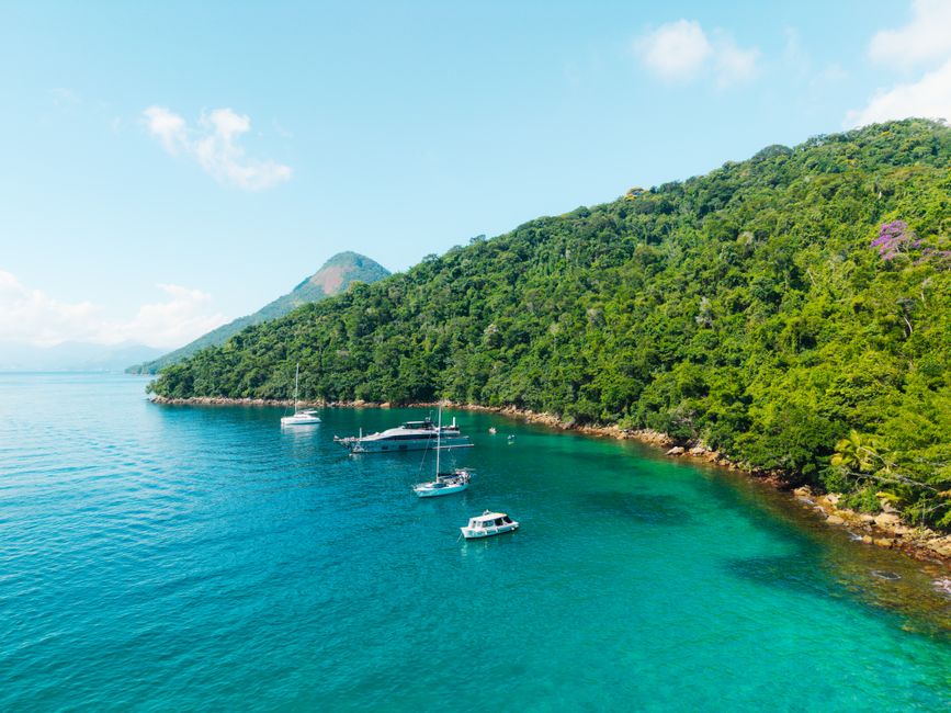 Ilha da Queimada Grande, Brazil
