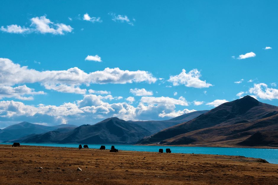 Amdo grasslands, Nagqu Prefecture, Tibet Autonomous Region