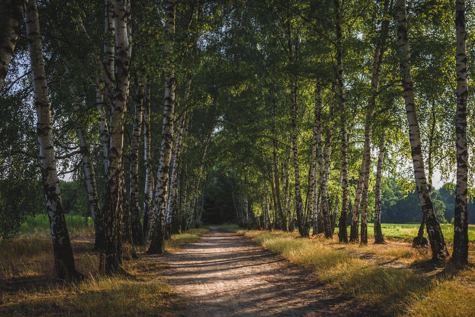 Gryfino, Poland
