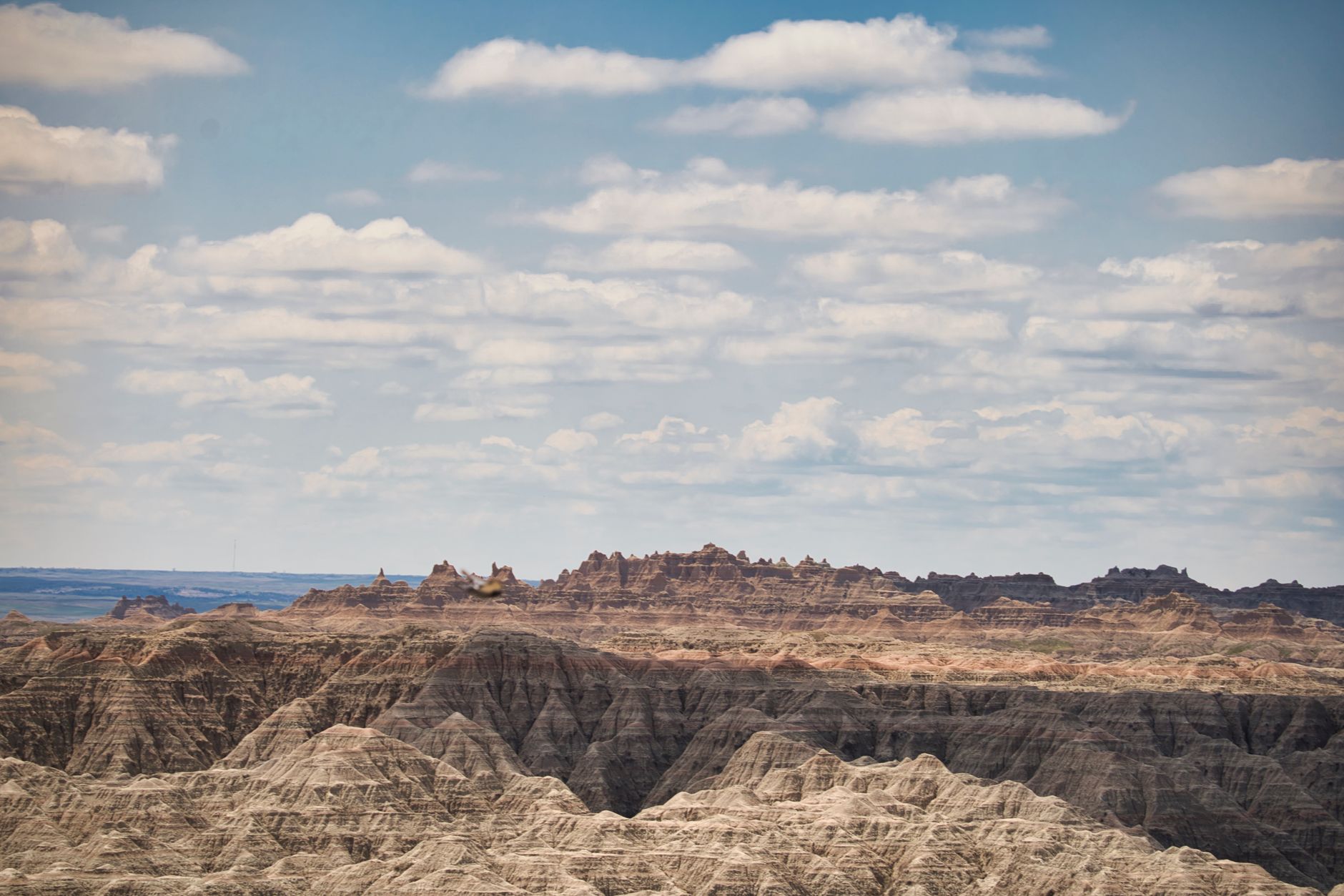 A vast, untouched wilderness landscape, with distant mountains under a wide sky, evoking a sense of discovery and remote beauty.