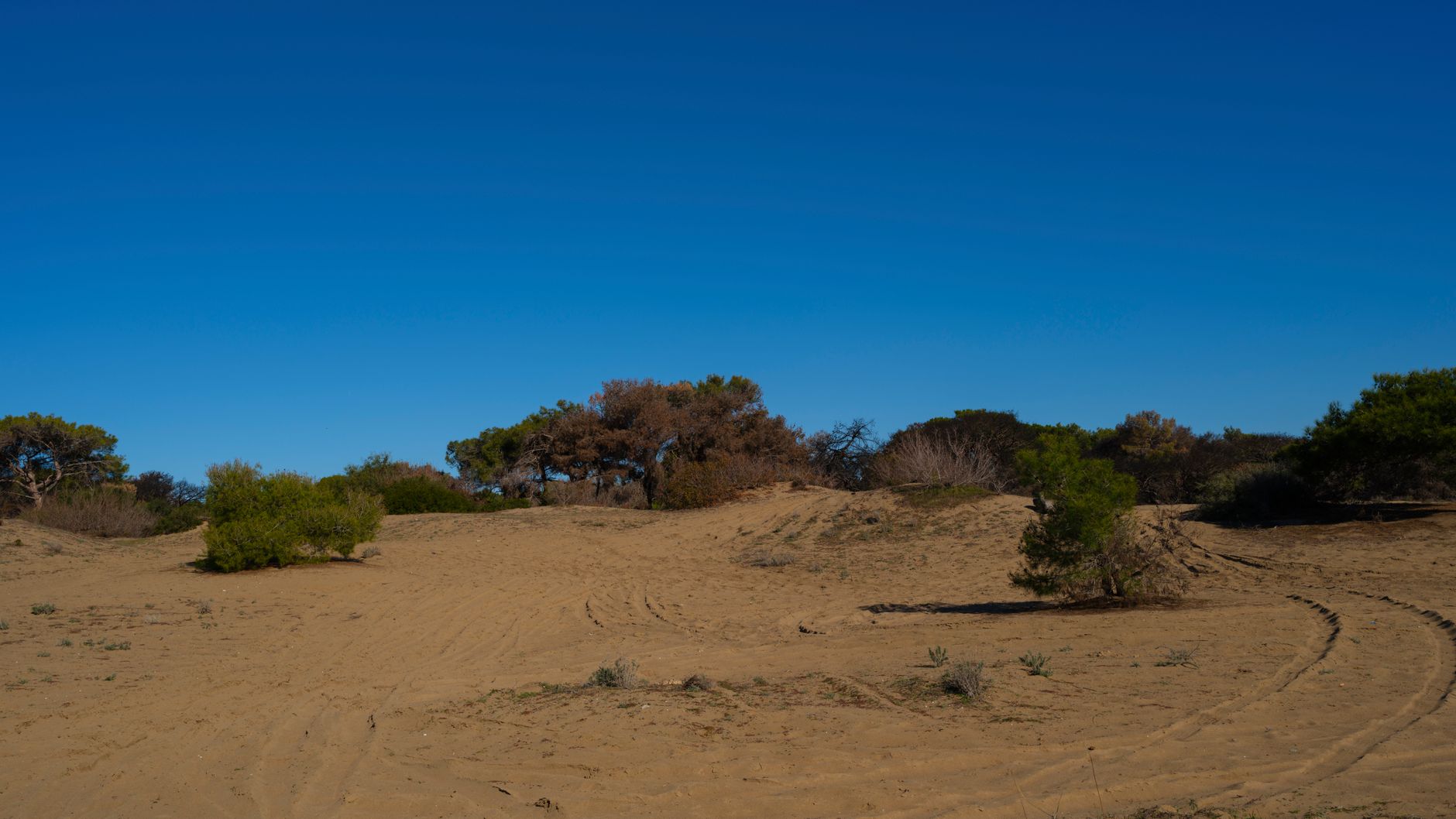 Dunas de Artola (Cabopino Beach), Marbella, Spain