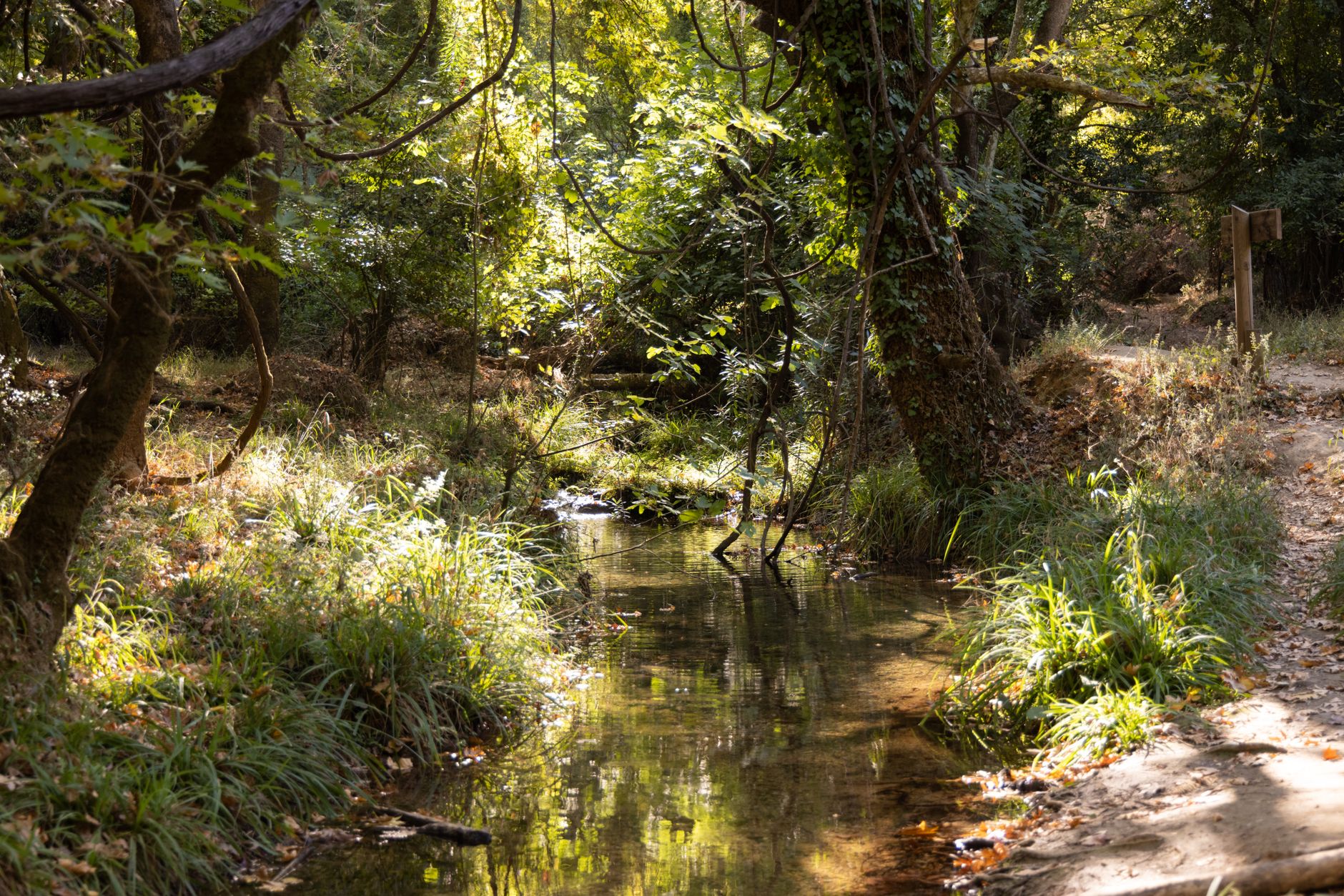 Acequia del Guadalmina, Benahavís, Spain