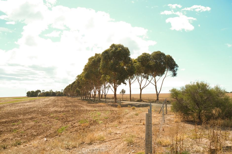 The Whispering Wall, Barossa Reservoir, South Australia, Australia