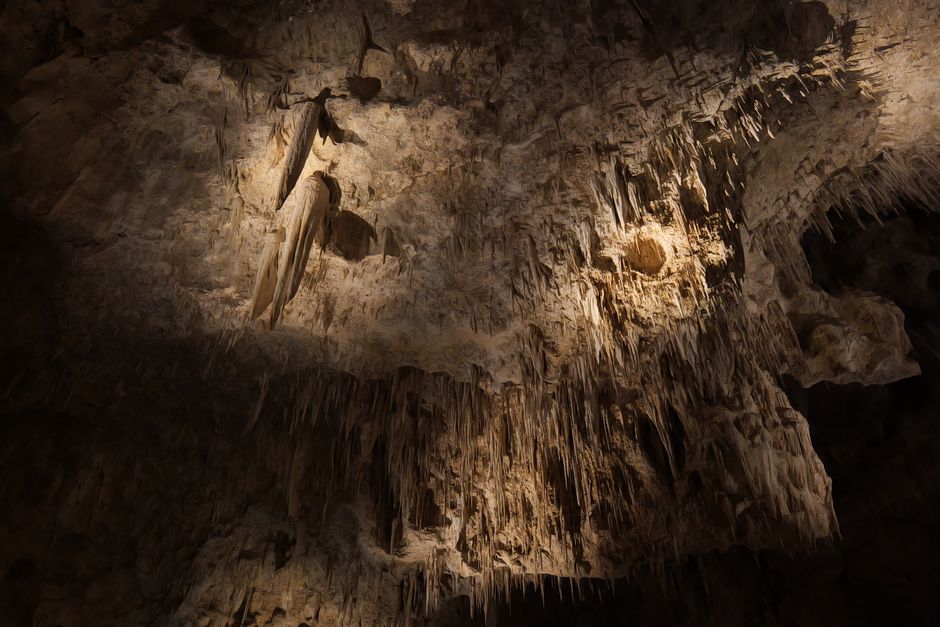 Carlsbad Caverns National Park, New Mexico, USA