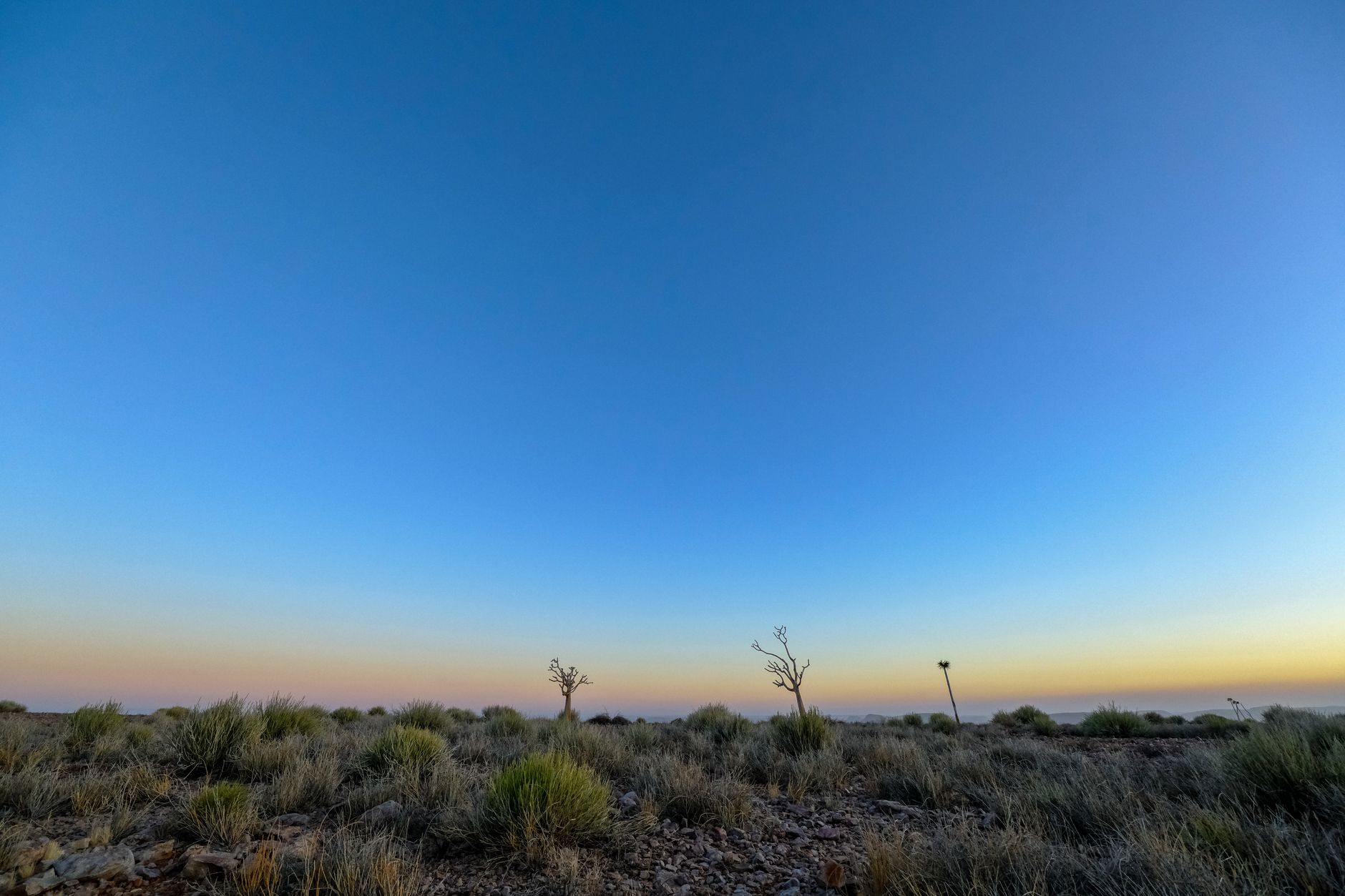 A sweeping landscape featuring ancient, weathered rock formations under a dramatic sky, evoking a sense of hidden history and vast, unexplored spaces.
