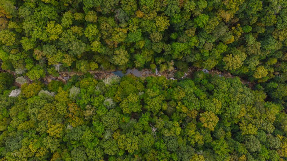 Carter County, USA