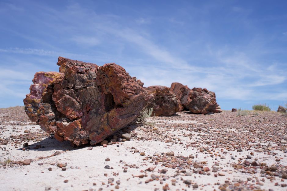 Petrified Forest National Park, Arizona, USA
