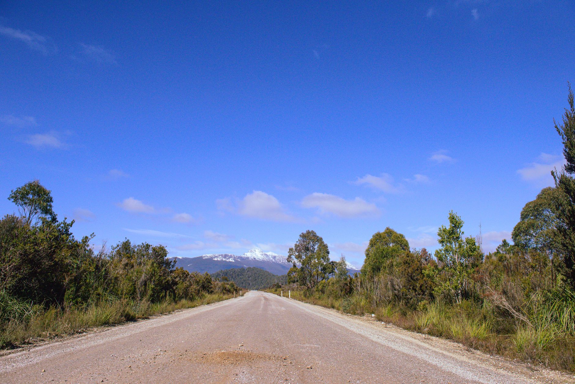 A long, winding country road stretches through rolling green hills under a vast blue sky, hinting at the journey from Queensland to Sydney.