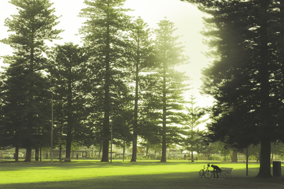 Hastings Park, Vancouver, Canada
