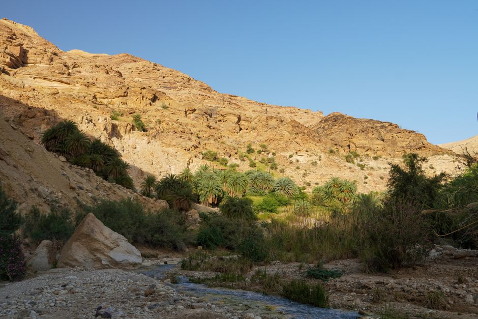 Wadi Tayyib Al-Ism, Tabuk Province, Saudi Arabia