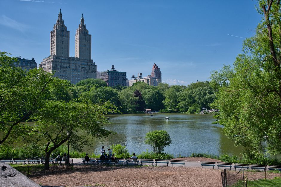 Central Park, NYC, USA
