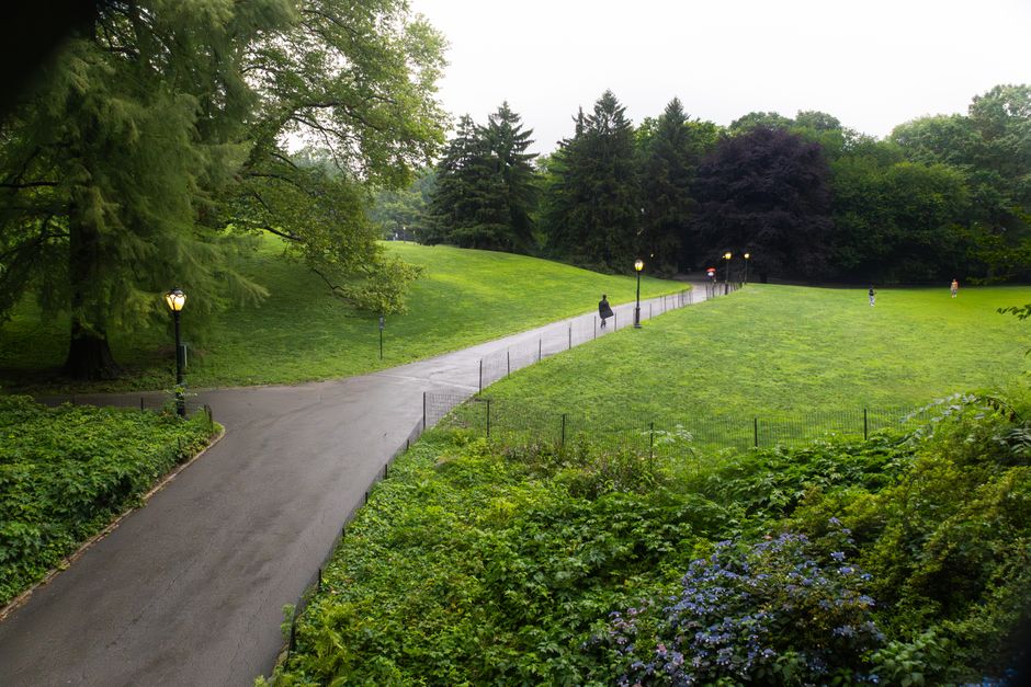 Central Park, NYC, USA
