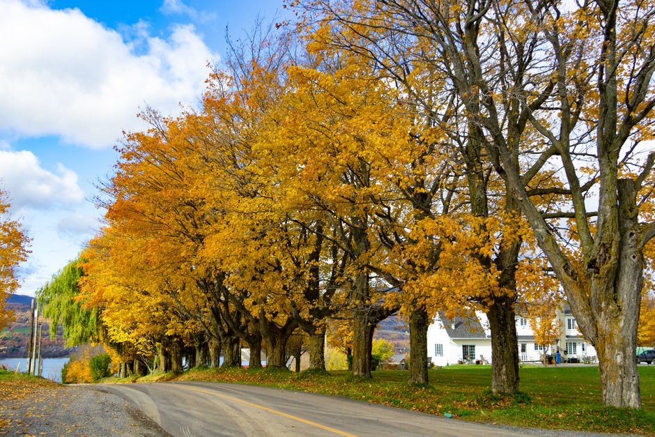 Knowlton, Quebec, Canada