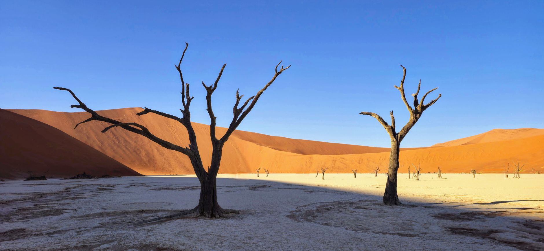 Deadvlei, Namibia