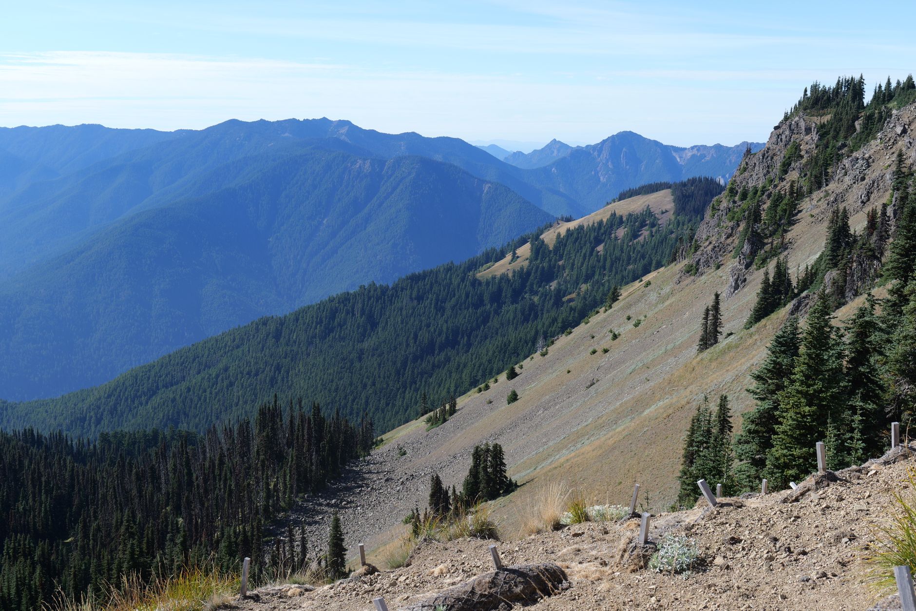 What to Know Before Hiking Olympic National Park: 7 Hidden Wonders Await