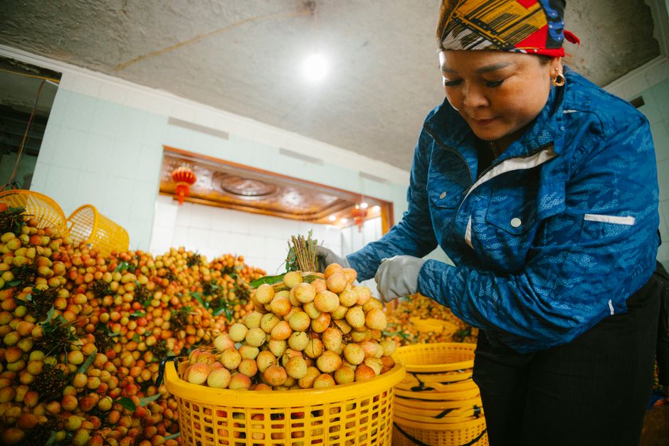 Longnan County, Ganzhou, Jiangxi, China
