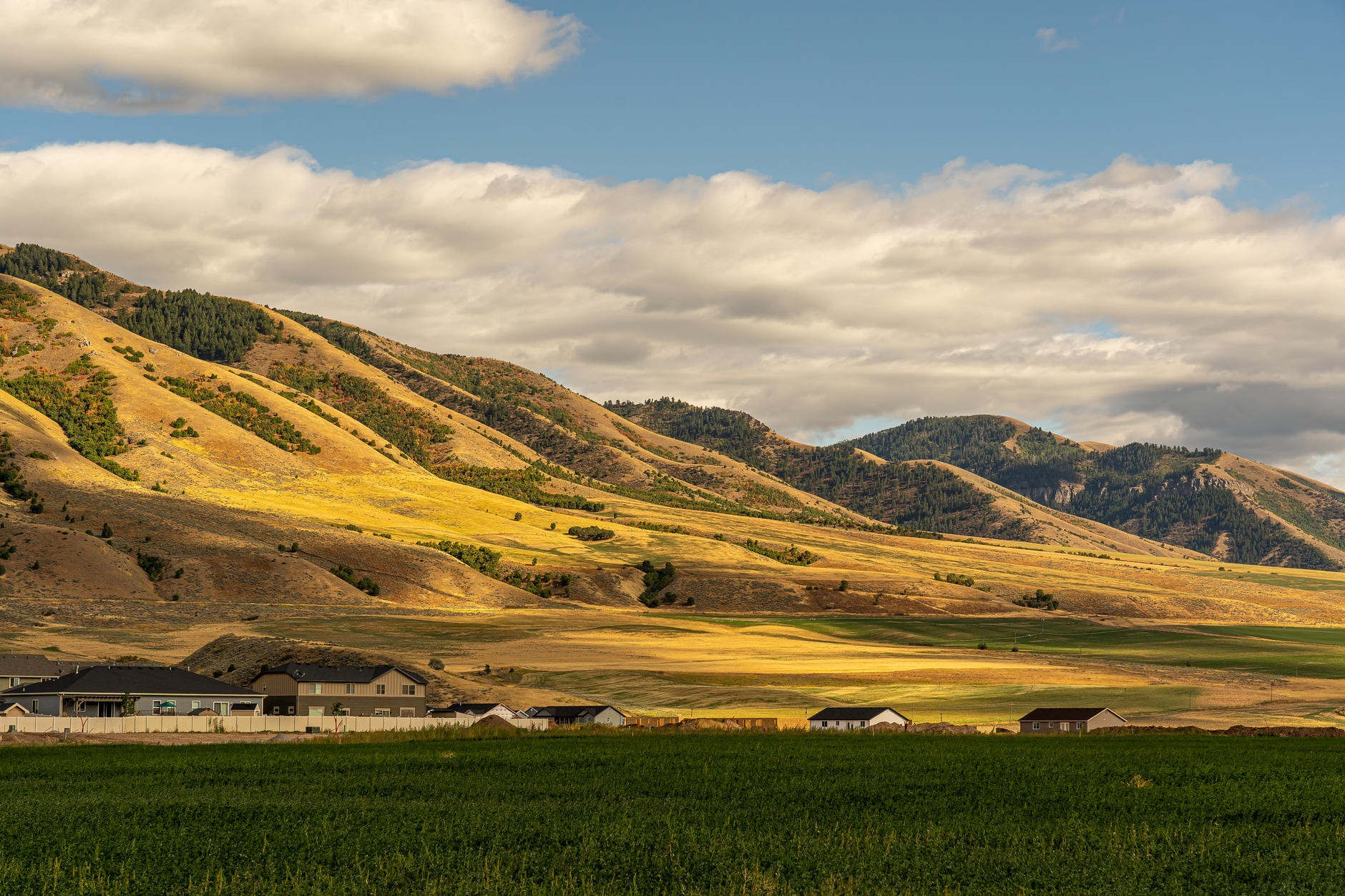 A sweeping panorama of diverse American landscapes, from desert mesas to lush forests, hinting at hidden travel discoveries.