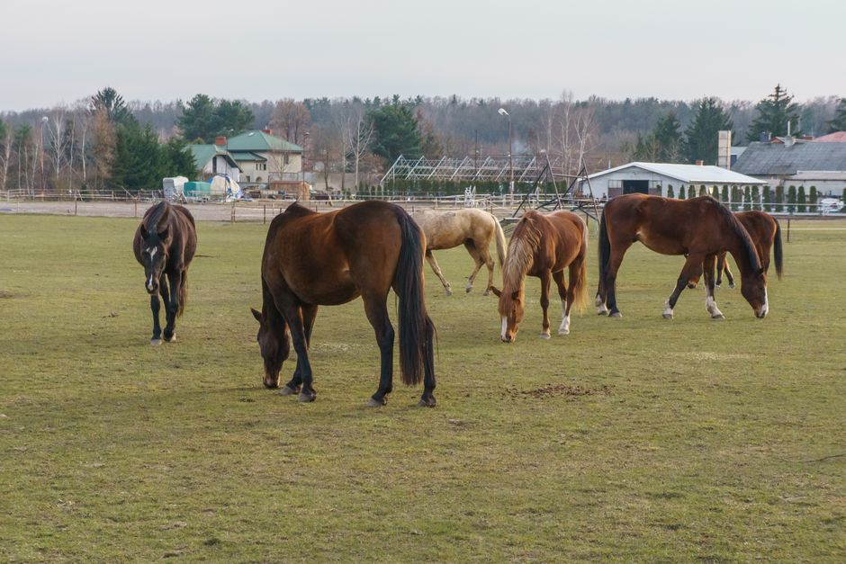 Dunbar-Southlands, Vancouver, Canada