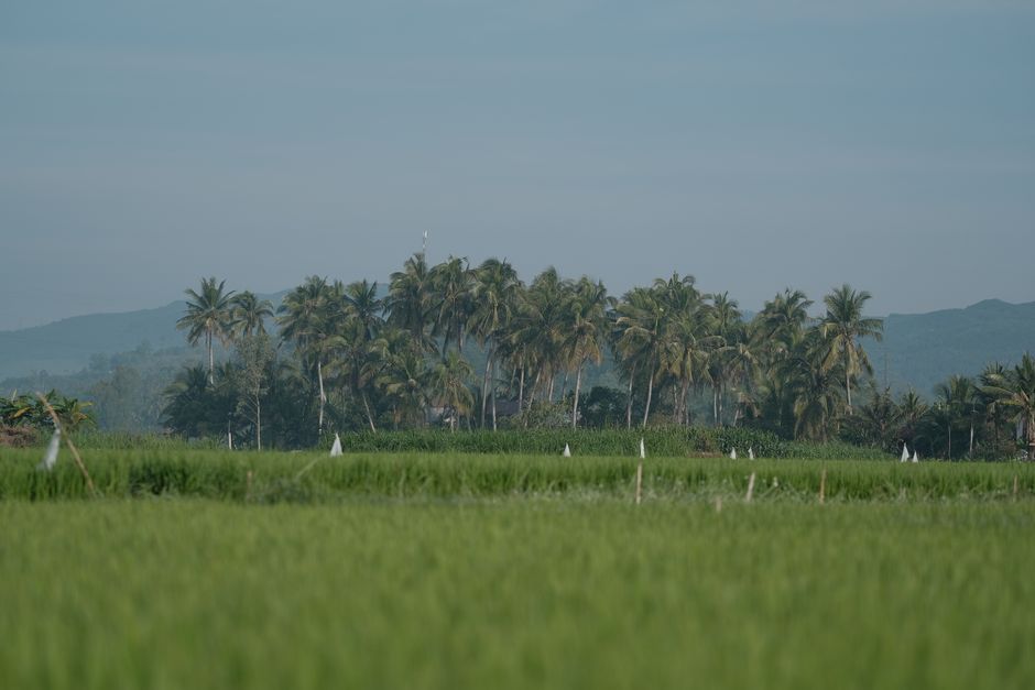 Comoros, East Africa
