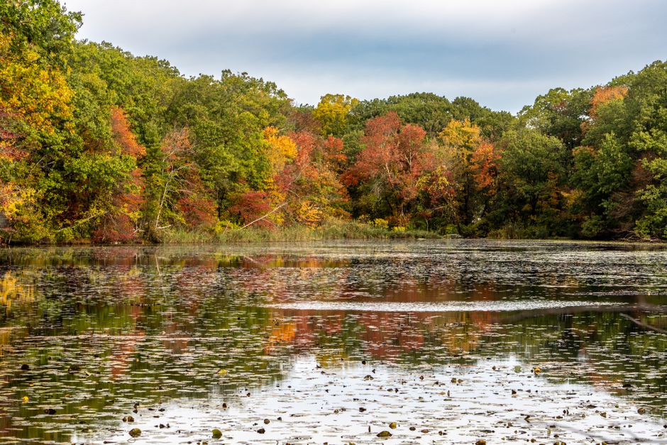 Lily Dale, New York, USA