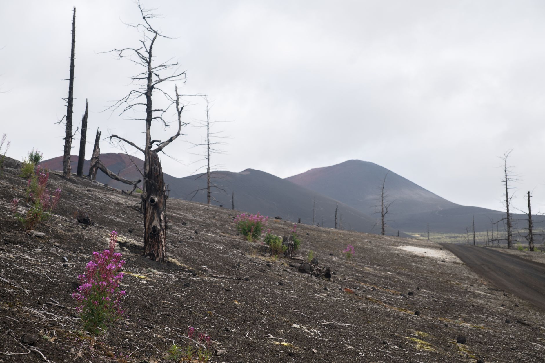 A wide, sweeping view of a desolate, eroded landscape under a dramatic sky, hinting at hidden stories.