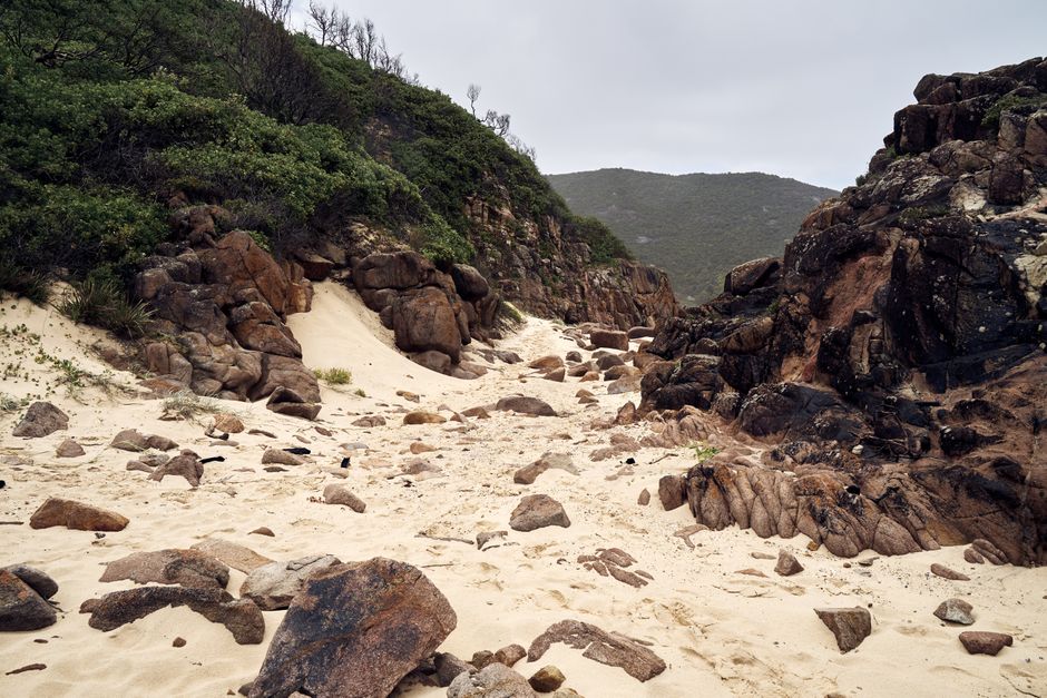 Wilsons Promontory National Park, Victoria