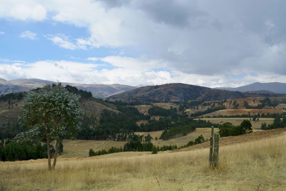 Sacred Valley, Peru