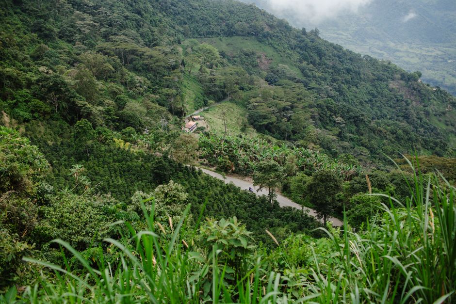 Materuni Village, Tanzania