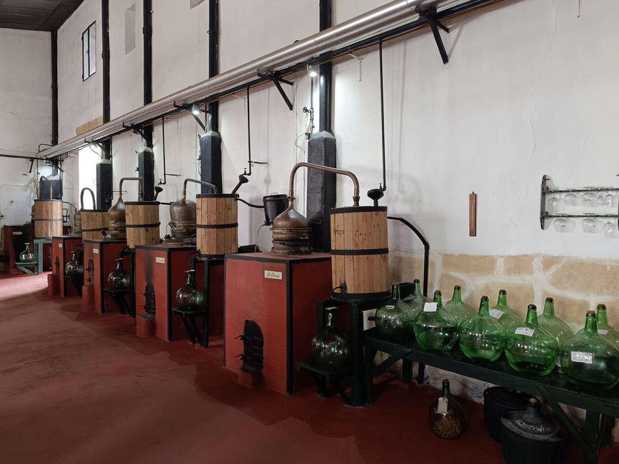 El Anciano Rey de los Vinos, Madrid, Spain