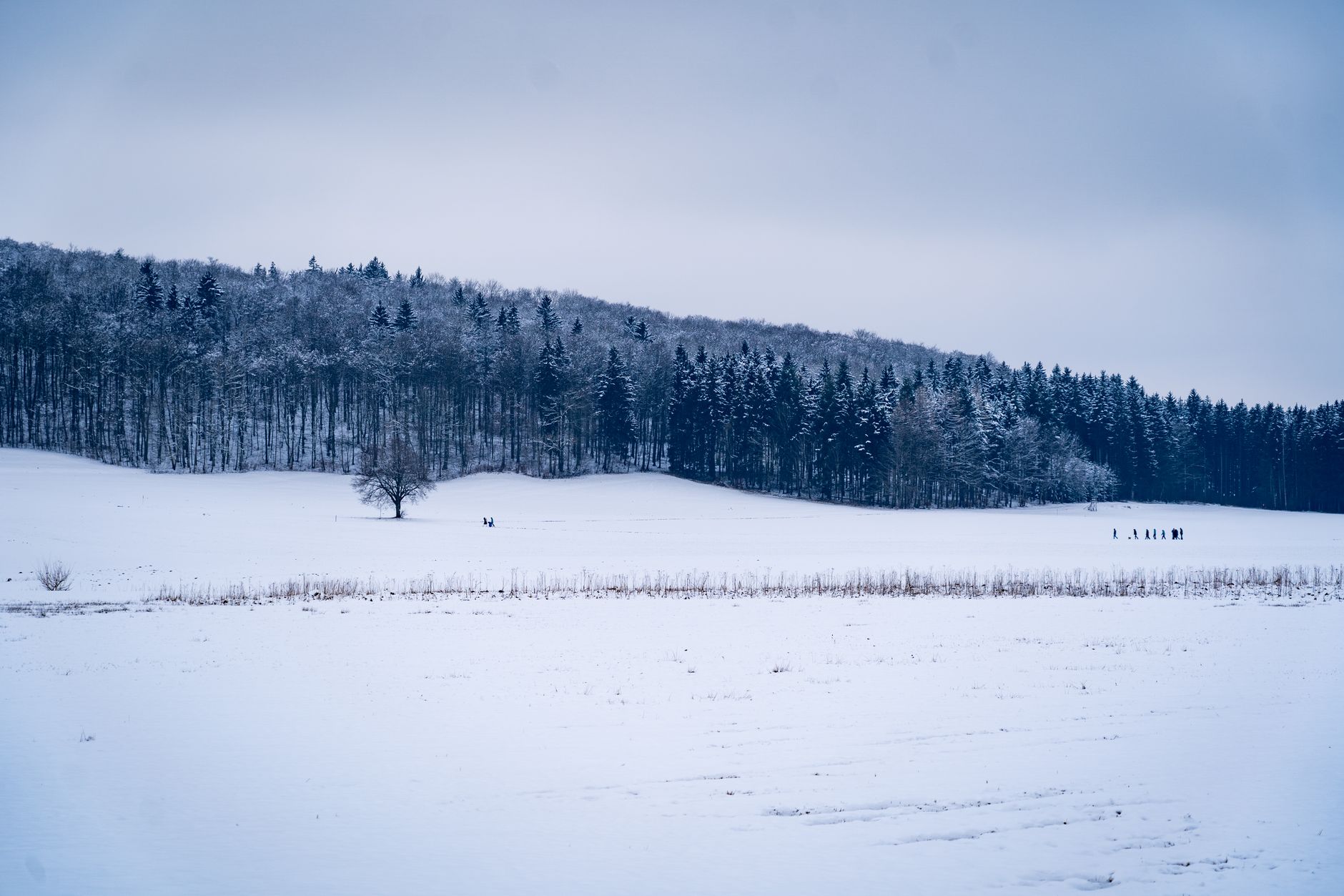 Where to Visit in January/February? Uncover Winter's Secrets