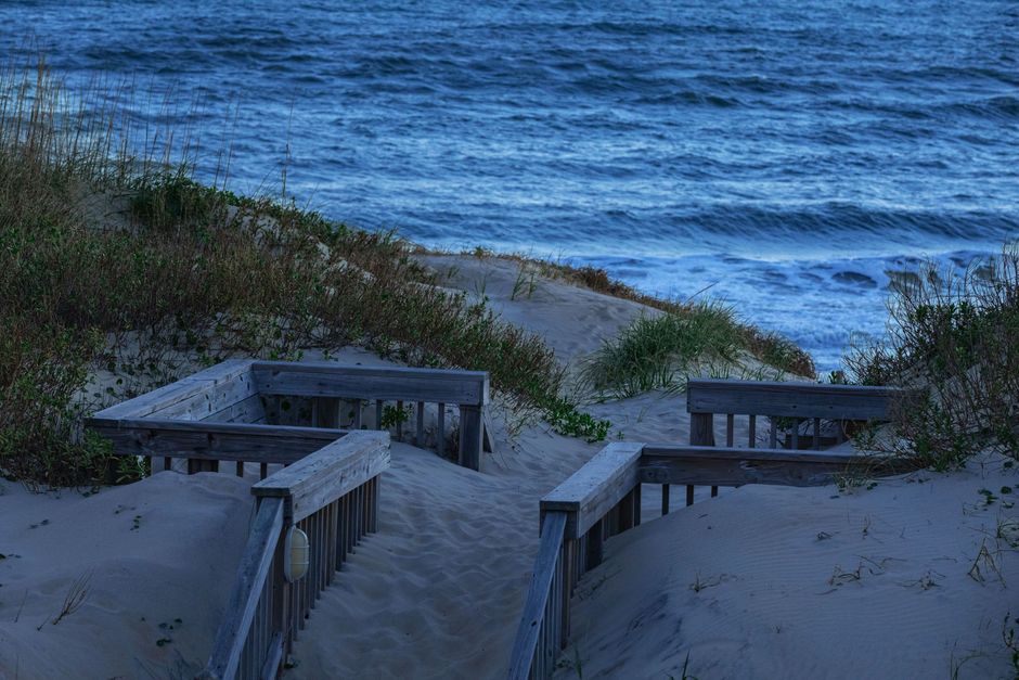 Carolina Beach State Park, USA