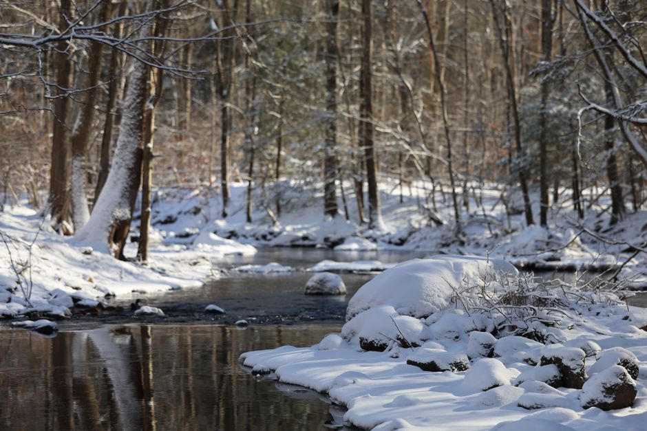 New River State Park, USA