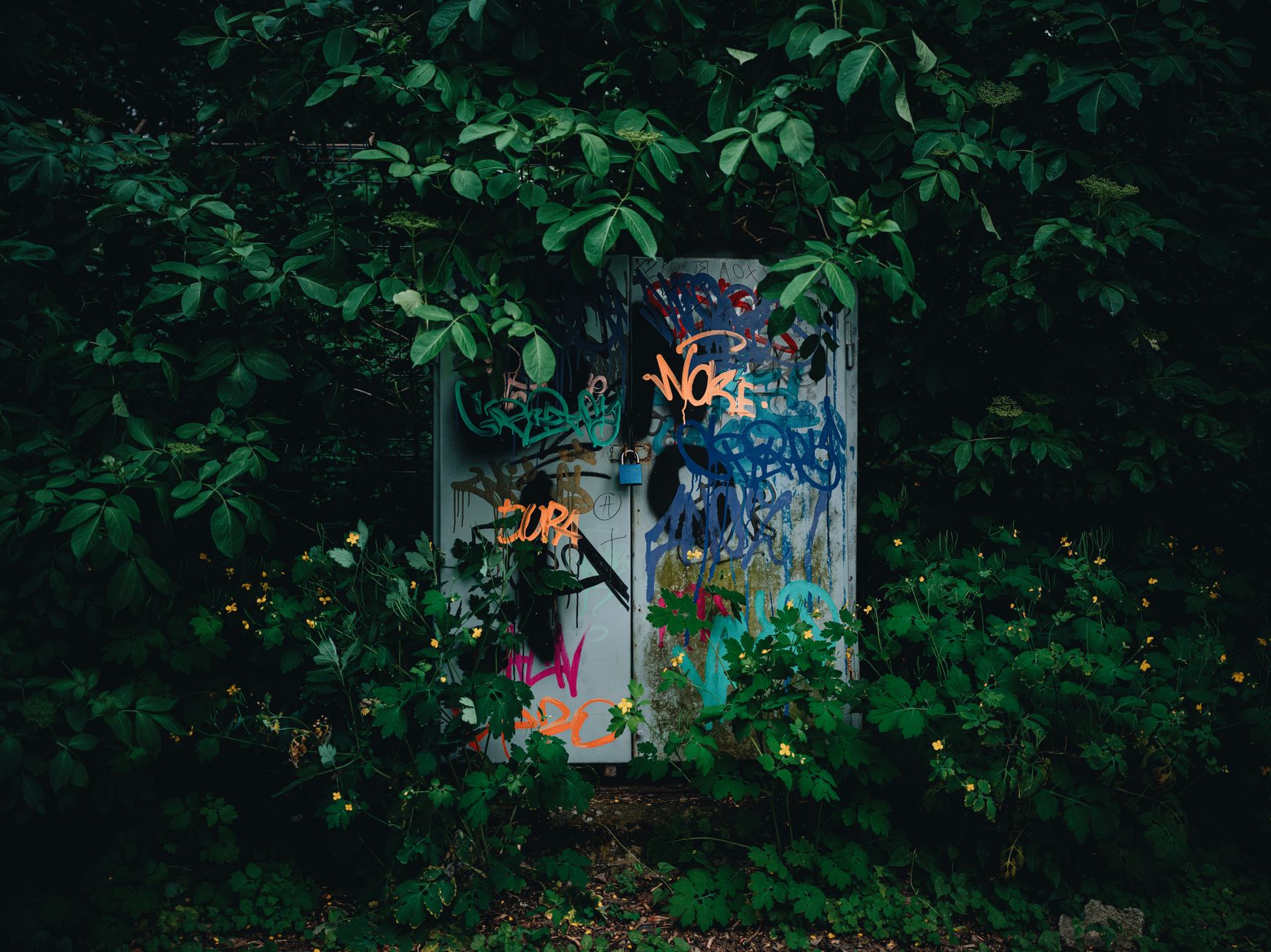 Wendy Whiteley's Secret Garden, Lavender Bay, Sydney, Australia