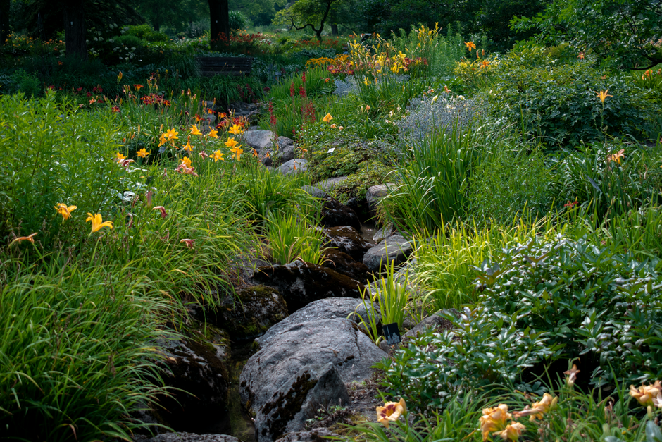Reader Rock Garden, Calgary, Canada