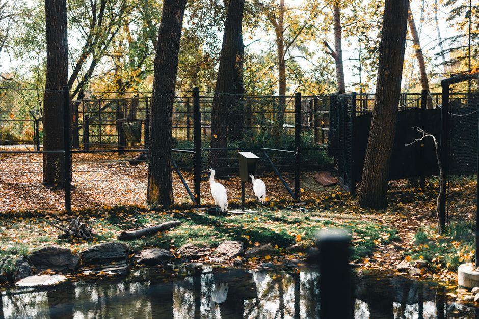 Bow Habitat Station, Calgary, Canada