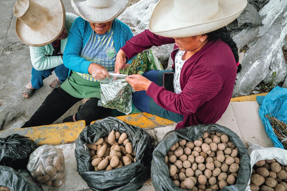 Potato Park, Sacred Valley, Peru