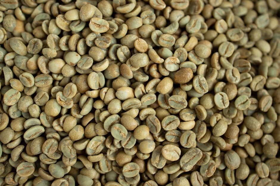 Kaffa Zone, Ethiopia