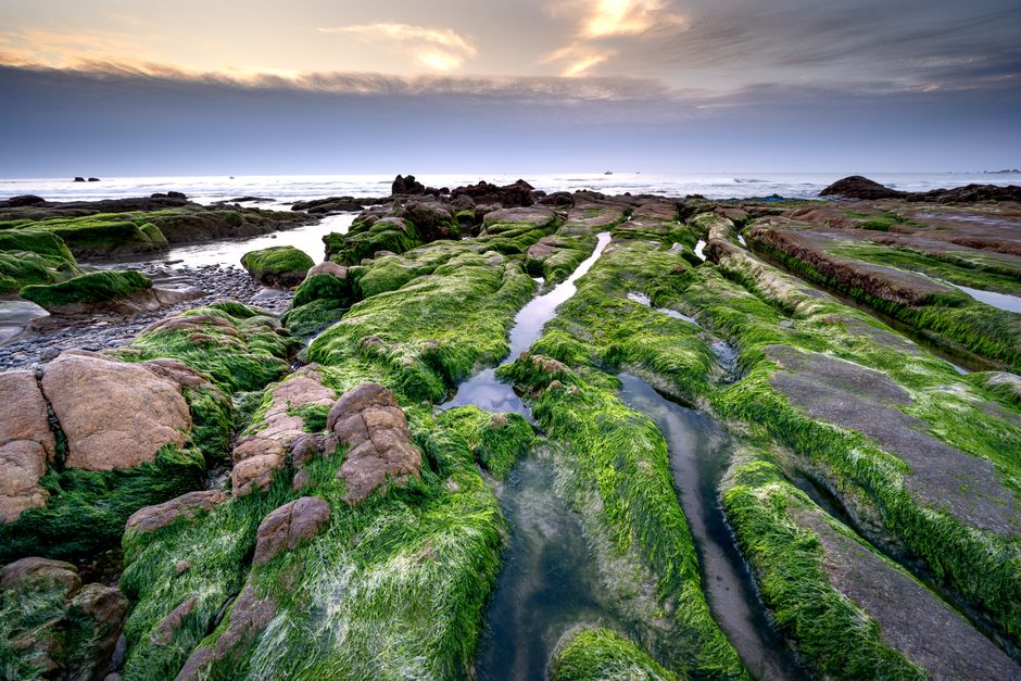 Laomei Green Reef, Taiwan